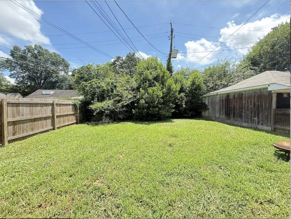 Picture 15