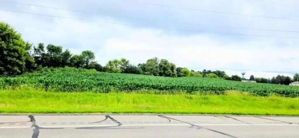Picture 8