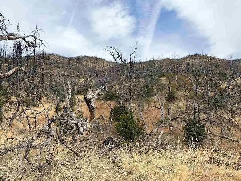 Picture 3