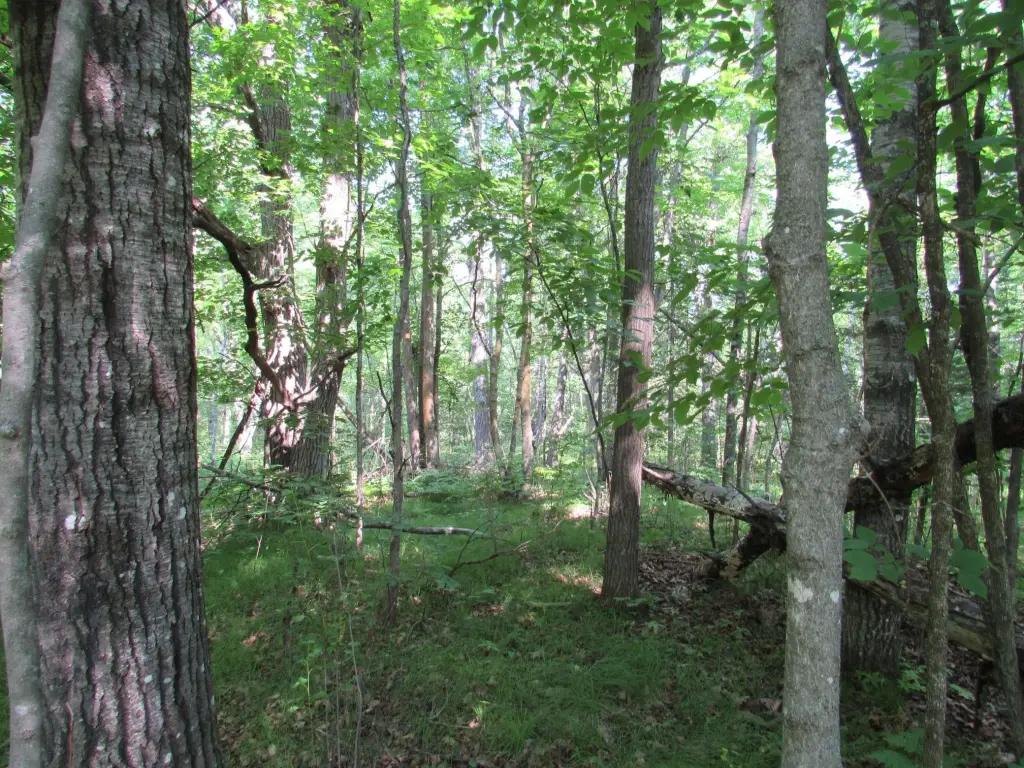 Picture 19