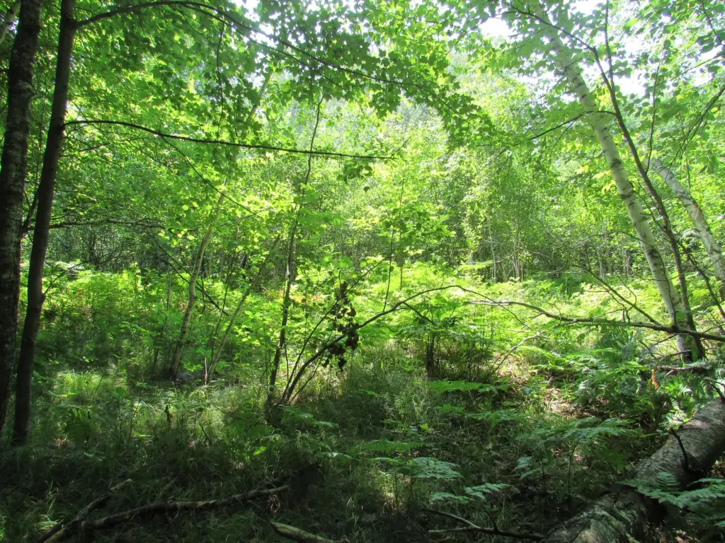 Picture 7