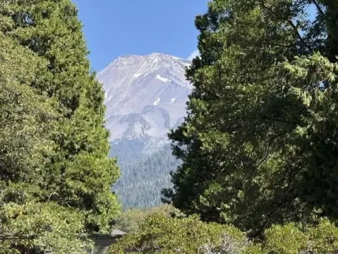 Commercial Land Near Recreation