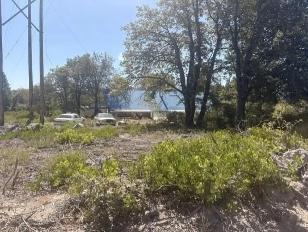 Picture 5