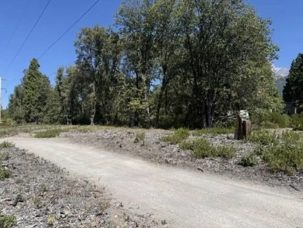 Picture 2