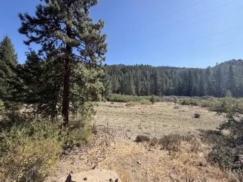 Recreation Land with Seasonal Creek