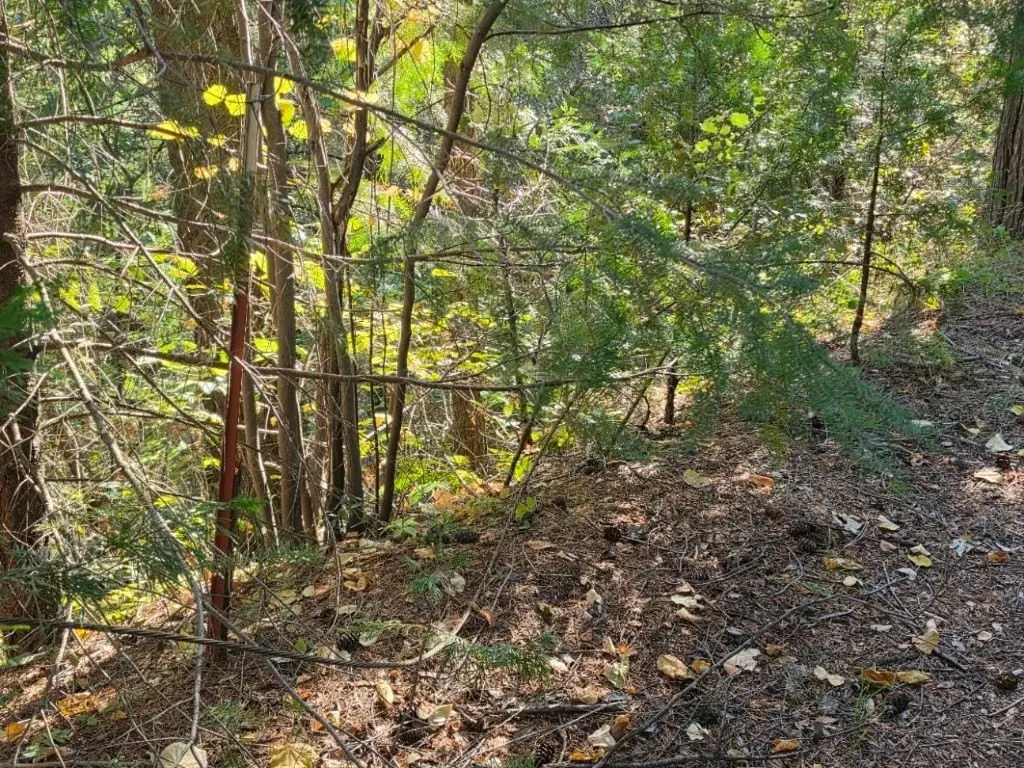 Picture 17