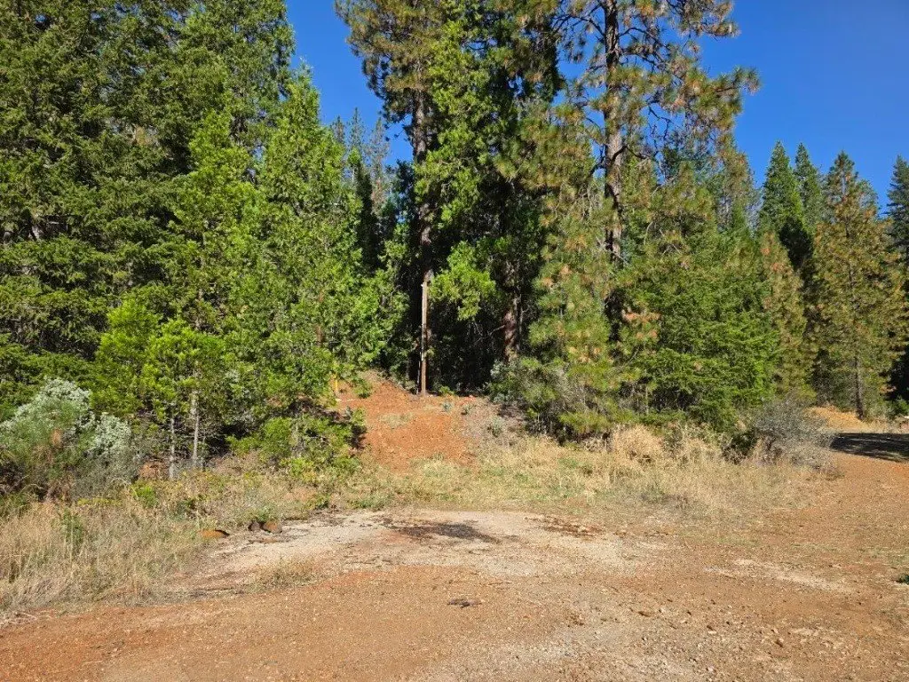Picture 12