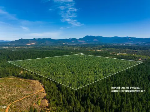 Timberland Tract