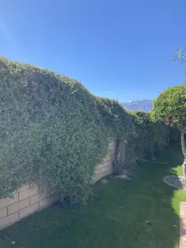 Cathedral City Land with Gazebo