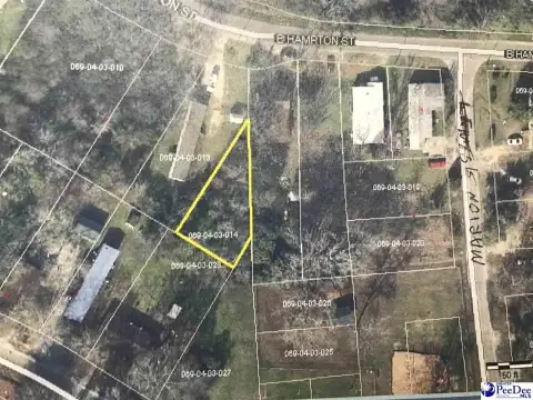 Residential Lot in Dillon, SC