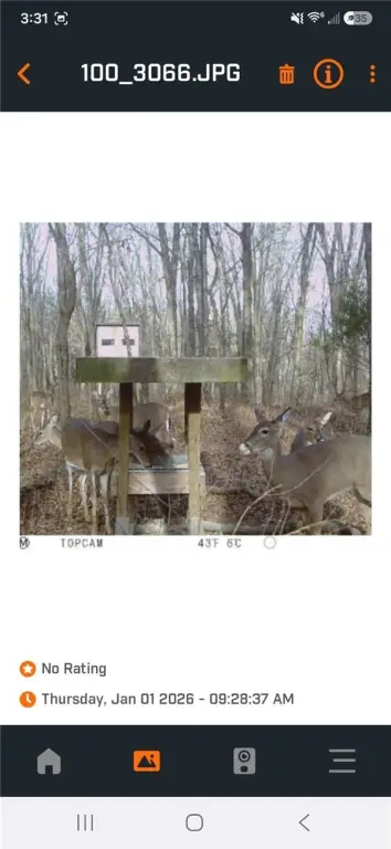 Picture 11