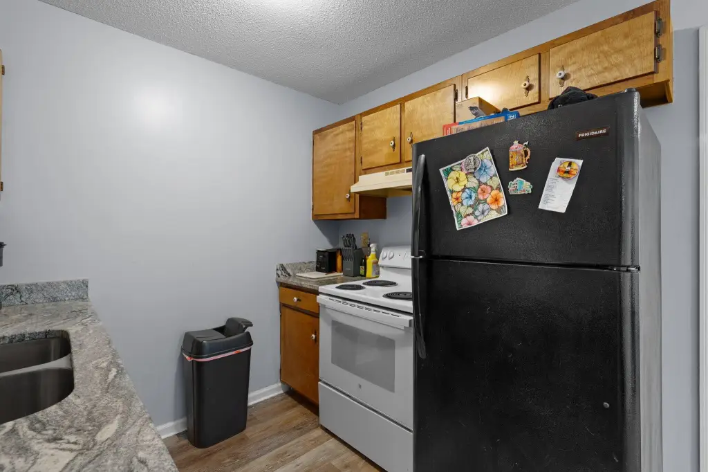 Picture 12