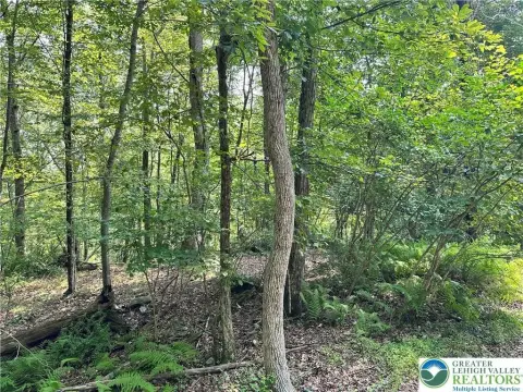 Serene Pocono Mountain Vacant Lot