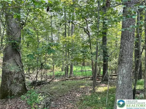 Serene Vacant Lot in Poconos