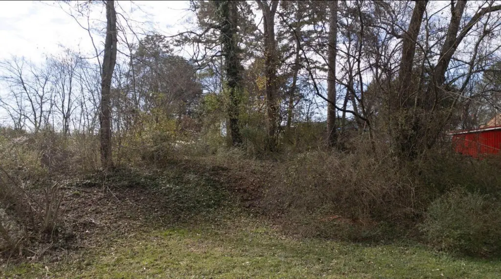 Picture 2