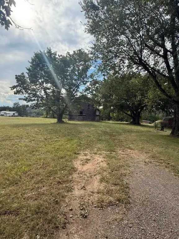 Picture 3