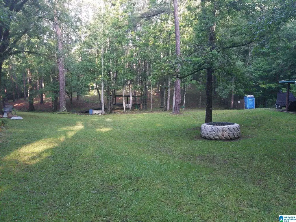 Picture 6