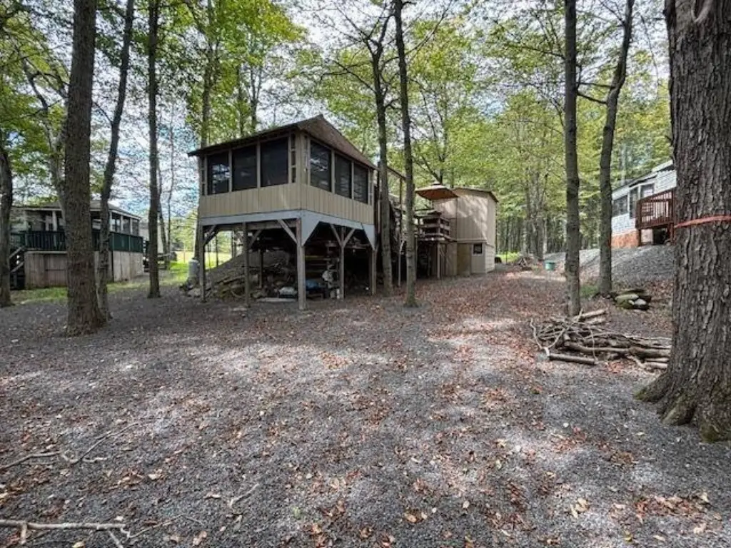 Picture 14