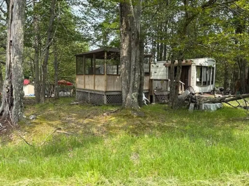 Picture 9