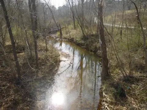 20.25 Acres Near Blacksburg