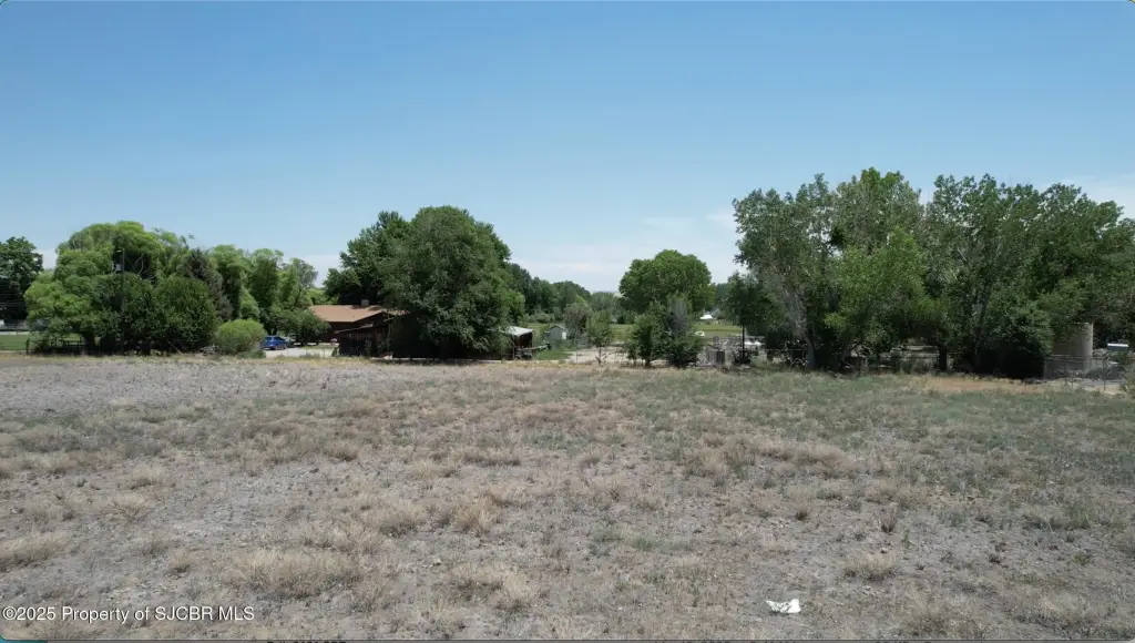 Picture 3