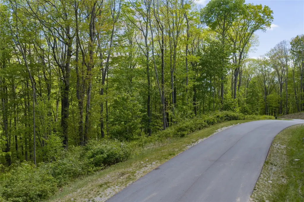Picture 8
