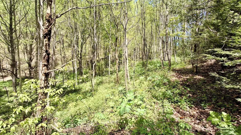 Picture 18