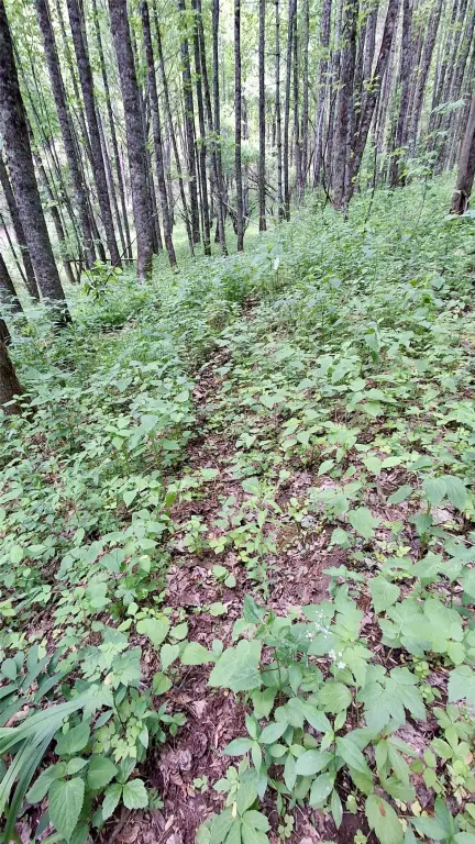 Picture 19