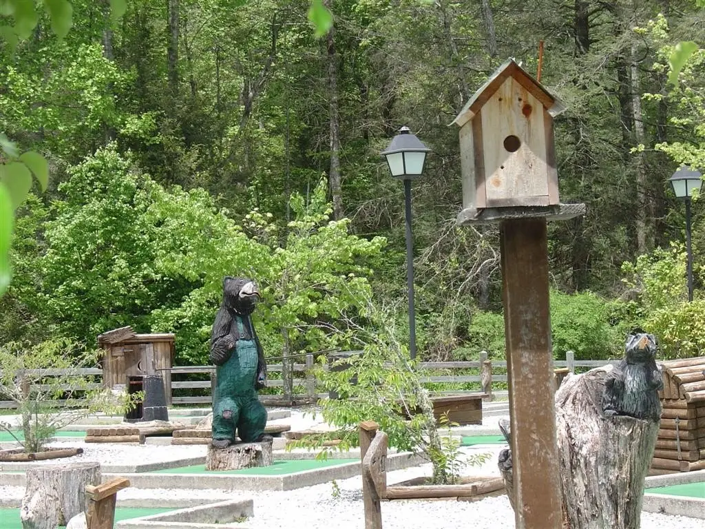 Picture 23