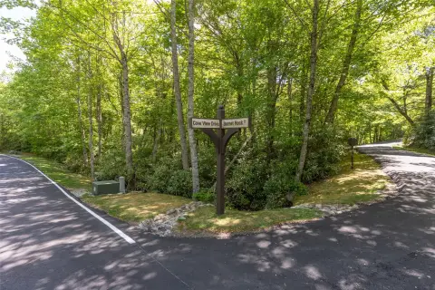 Gated Community Mountain Homesite
