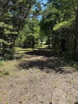 Ector, TX Wooded Lot