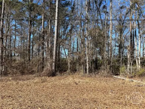 Riceboro, GA Wooded Land