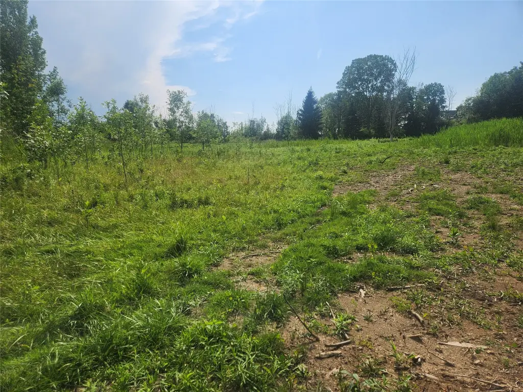 Picture 21
