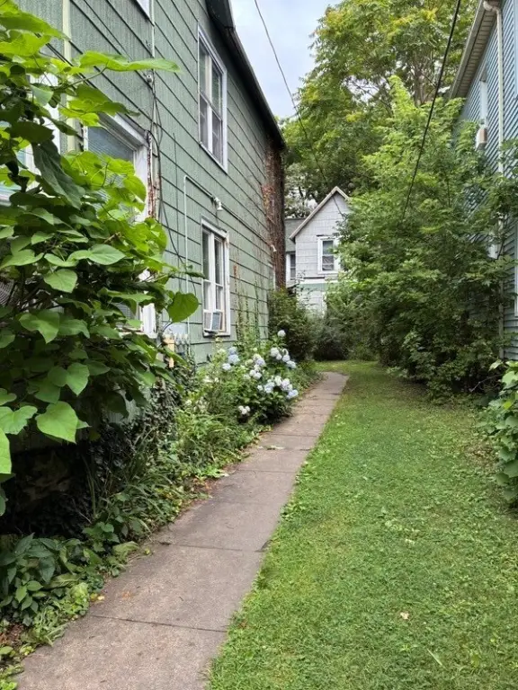 Picture 5