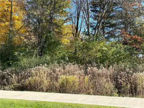 Commercial Land Near Norton Road