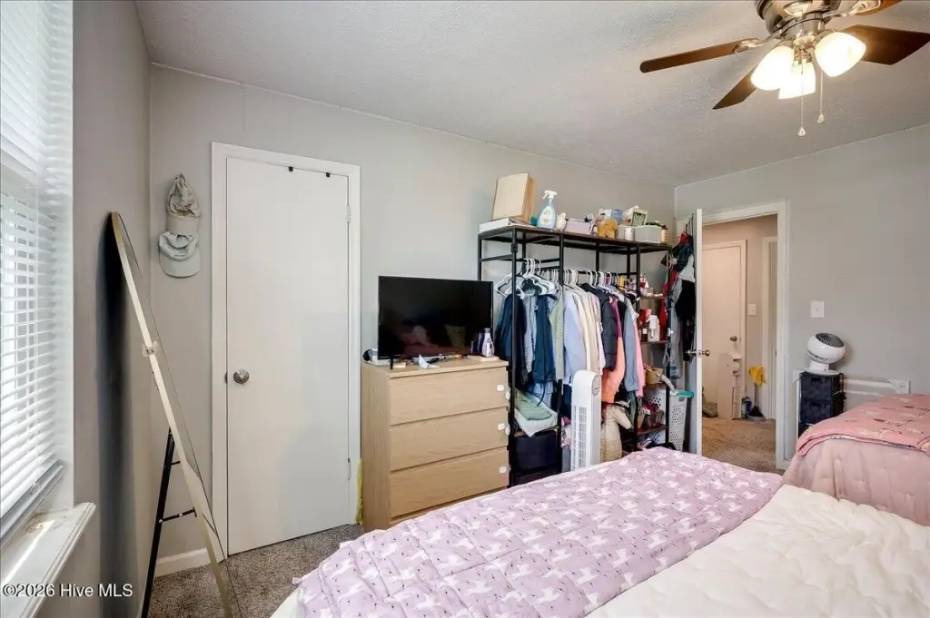 Picture 39