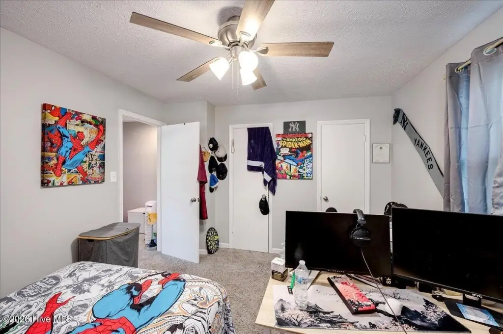 Picture 43