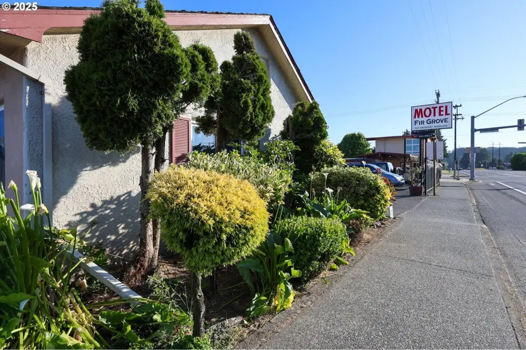 Picture 25