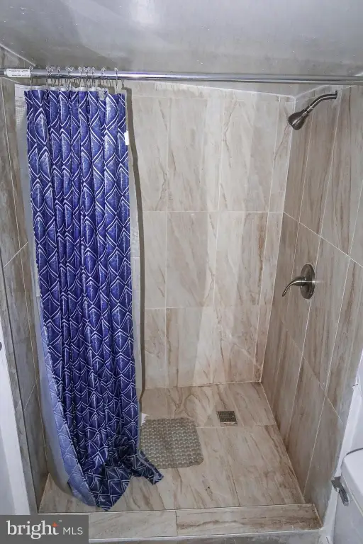 Picture 41