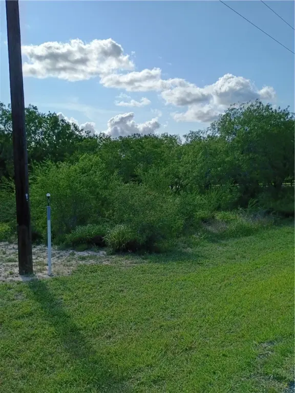 Picture 11