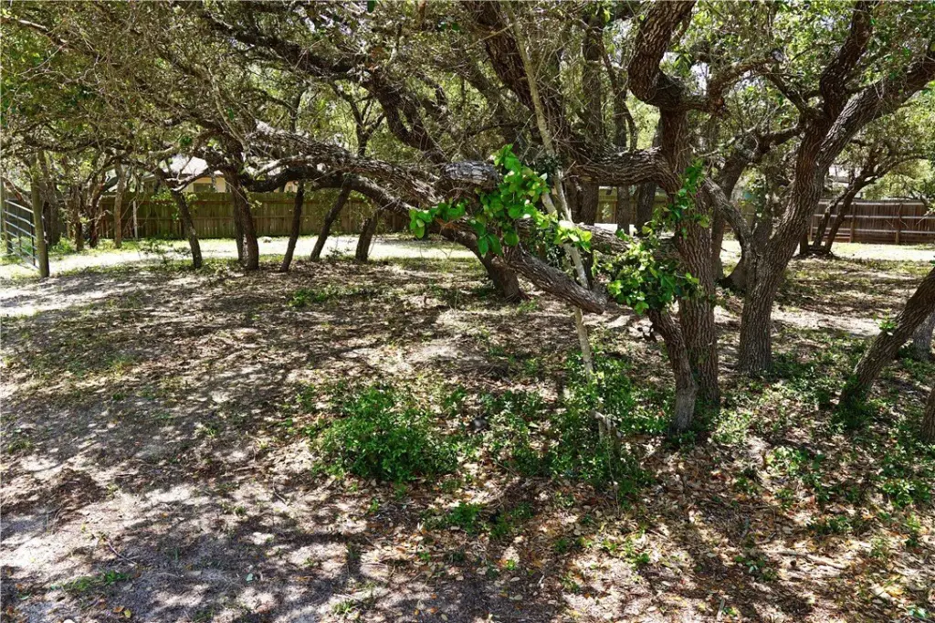 Picture 21