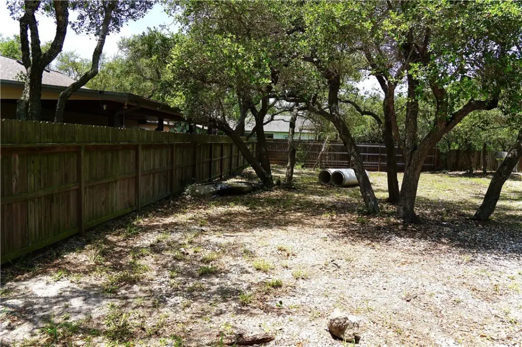 Picture 15