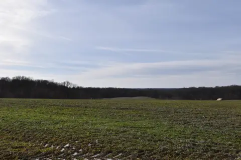 Ferdinand, IN Agricultural Land