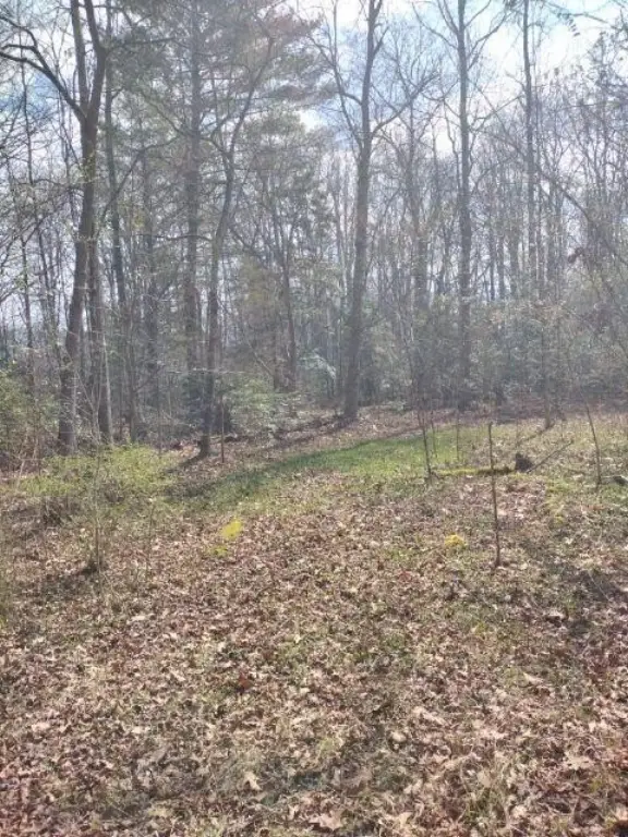 Picture 25