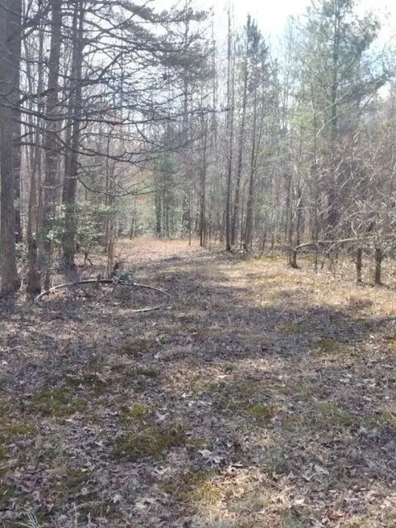 Picture 19