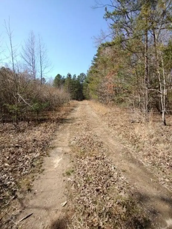 Picture 18