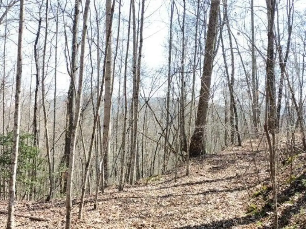 Picture 4