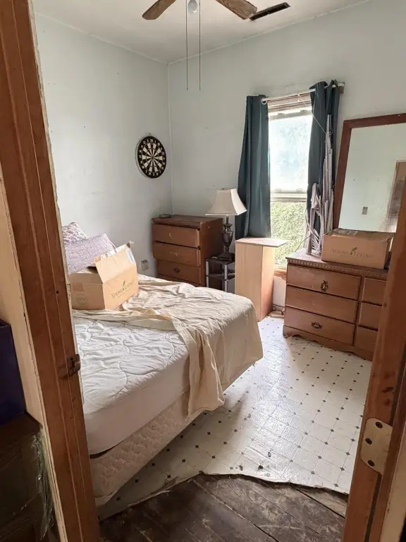Picture 19
