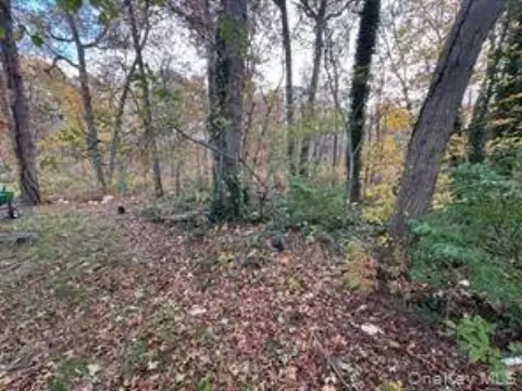 Vacant Buildable Land in Deer Park