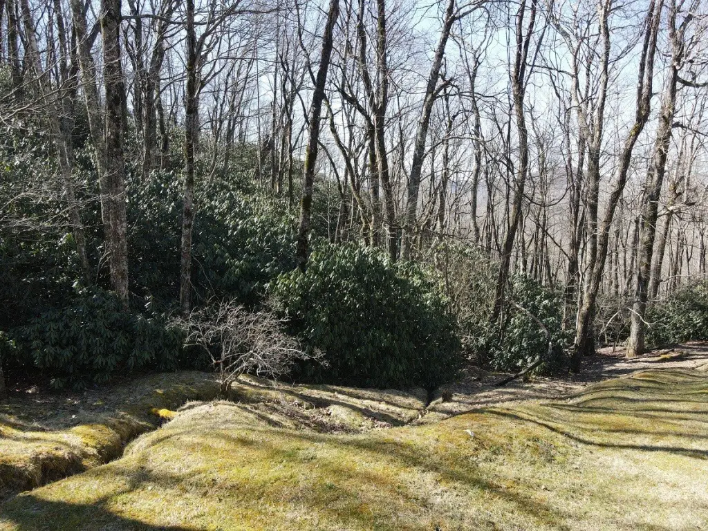 Picture 4